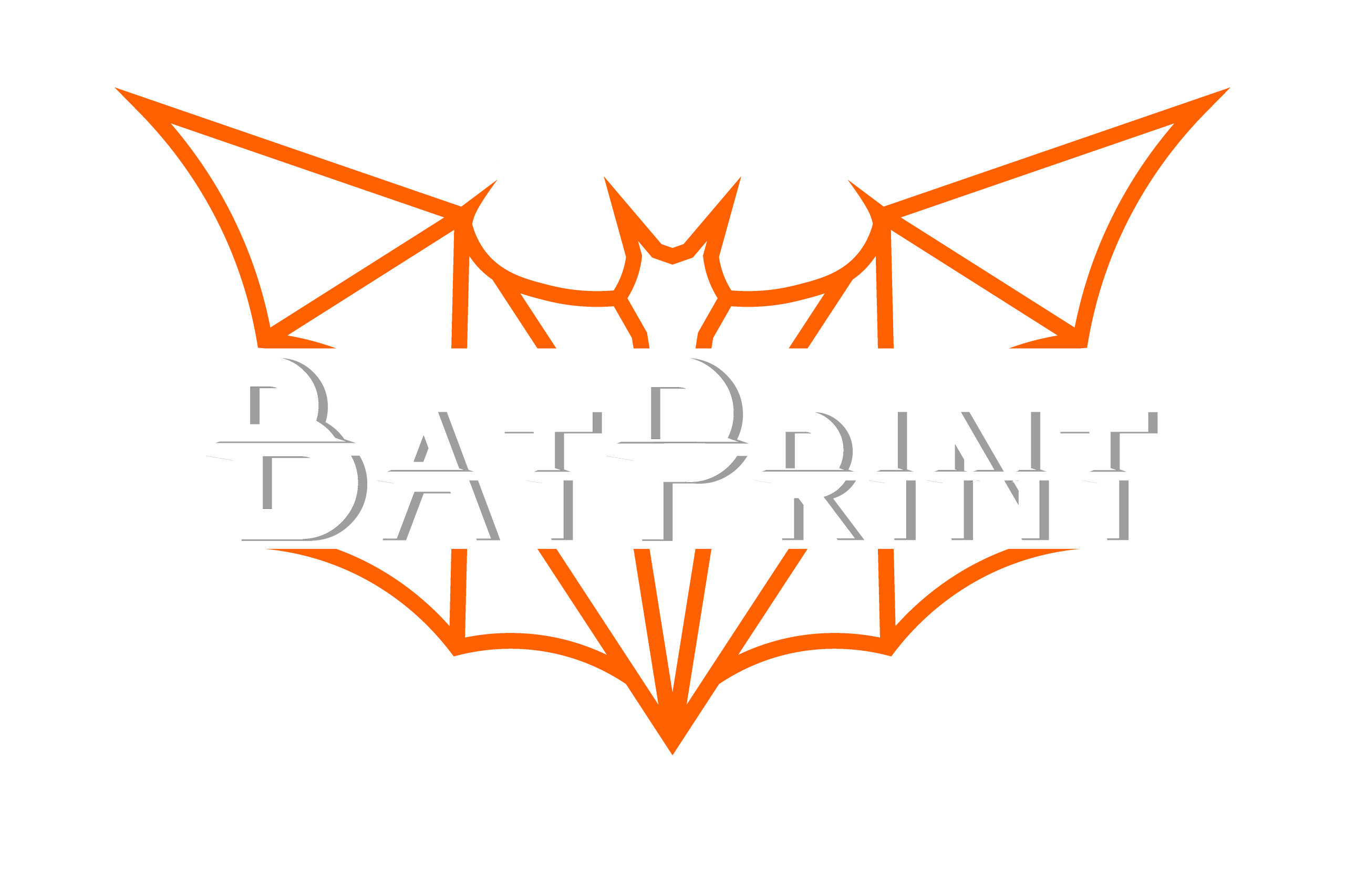 Gerente y Diseñador