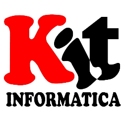 Técnico Informático (Jefe de Equipo y Formador)